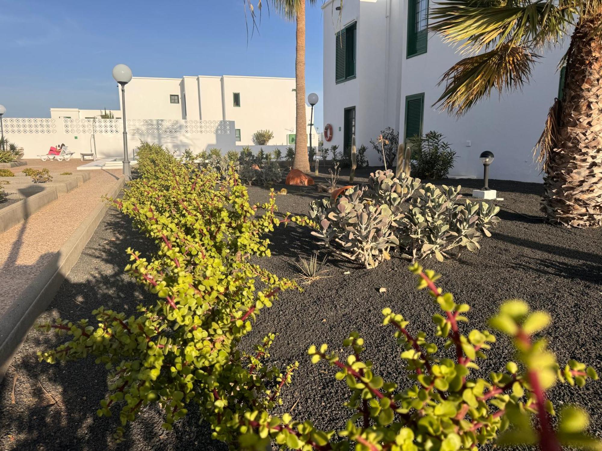 Las Mimosas A Puerto del Carmen (Lanzarote) Zewnętrze zdjęcie