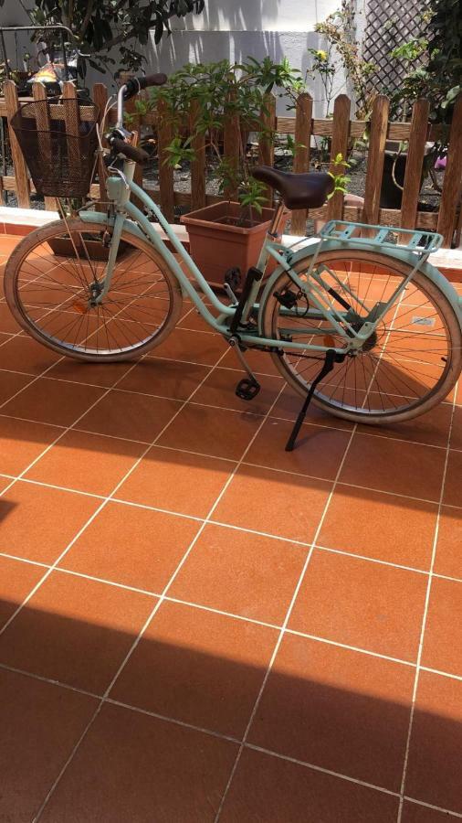 Las Mimosas Puerto del Carmen  Zewnętrze zdjęcie
